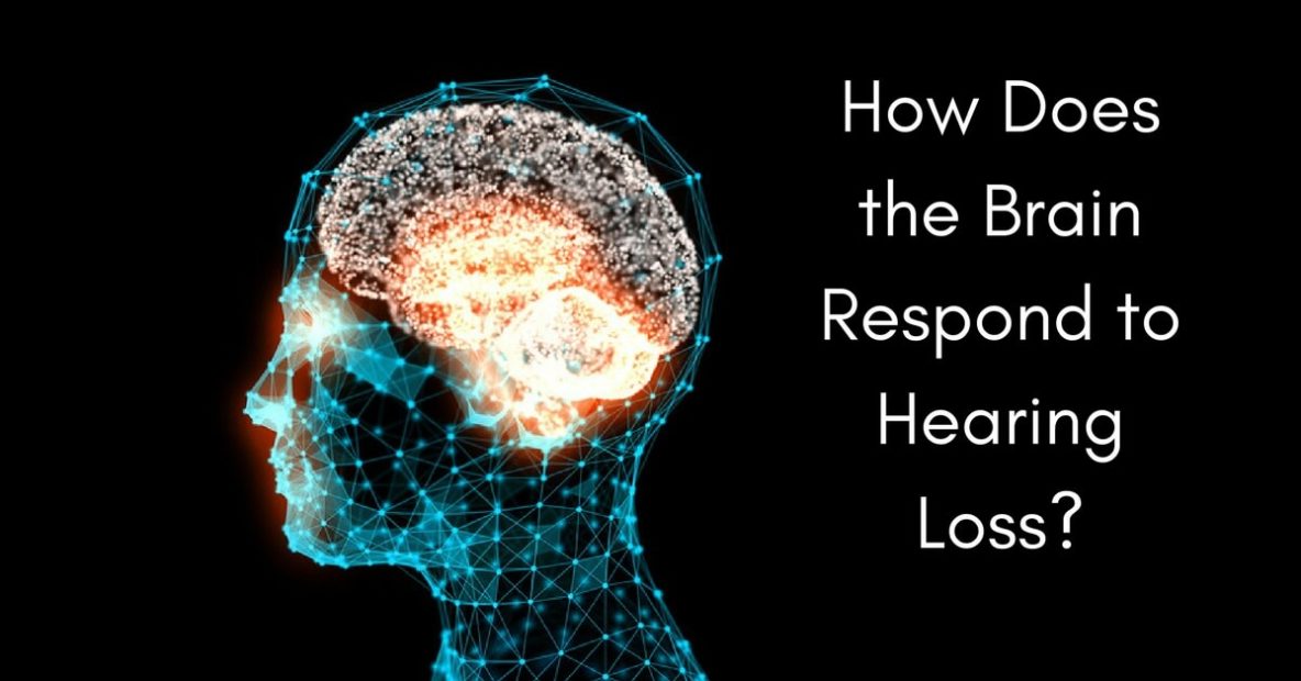 How Does The Brain Respond To Hearing Loss? | Hearing Aid Associates ...